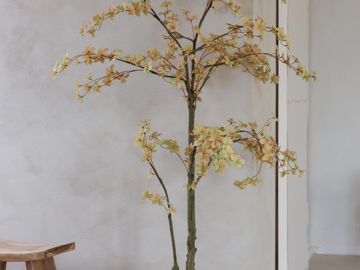 Studio image 11